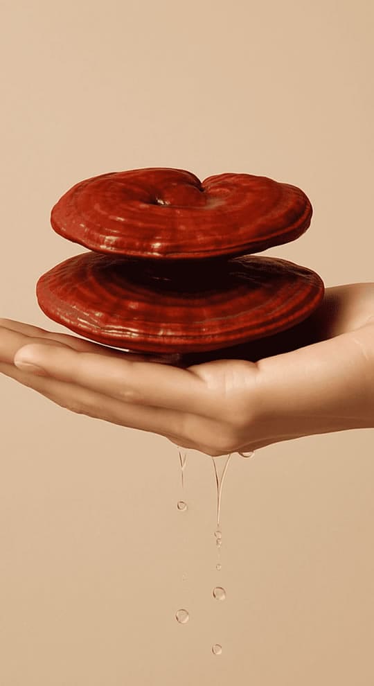 Start your journey with 